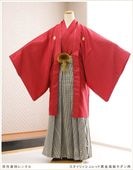 ´ȼ ոӥ󥿥 ޻ ܻ mo287    ե륻å ʪ󥿥 ӥ󥿥 ʪ ߰ kimono  ٥  ååɹ