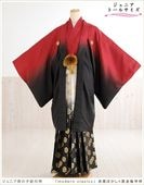 ��Ĺ��� 157cm��167cm�б� ���ع�´�ȼ� ����˥� �ˤλ� ���ոӥ�󥿥� �������� ������ jbmo080-4 ��� 12������ ������ �ե륻�å� ��ʪ��󥿥� �߰��� kimono ���٥�� ���֥��ɡ֥���󥯥饷�å��� �ֹ��ܤ����߹��⵵�ø�