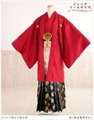 ��Ĺ��� 158cm��167cm�б� ���ع�´�ȼ� ����˥� �ˤλ� ���ոӥ�󥿥� �������� ������ jbmo044-4 ��� 12������ ������ �ե륻�å� ��ʪ��󥿥� �߰��� kimono ���٥�� ���� �֡߹��⵵�äܤ���