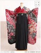 ���ع�´�ȼ� �ӥ�󥿥� ���λ� joh1399 �ե륻�å� ������ ��ʪ��󥿥� ´�ȸ� ��µ�� ���٤�ӥ����� �����ץ� 11�� 12�� ��ǯ�� ���� �͵� ��ȥ� ����� ���襤�� ȯɽ�� ������� ���Ϥ˹ʤ�ȾͰ�ॷĤӤβ�