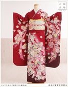 ����˥� ���λ� ���� ��ʪ��󥿥� jkfb1398 �ե륻�å� �������� �뺧�� ´�ȼ� ���٥�� ȯɽ�� ��ʬ�ΰ����ͼ� ����˥���µ �͵��֥��� ���Ϥ���ڵȾ�����