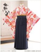 ���ع�´�ȼ� �ӥ�󥿥� ���λ� h0955-2 �ե륻�å� ������ ��ʪ��󥿥� ´�ȸ� �������� ȯɽ�� ���٤�ӥ����� �����ץ� 10�� 11�� 12�� 13�� ��ǯ�� ���� �͵� ��ȥ� ����� ���襤�� ������� ����ॺ̤�ηĲڤ˺��Ծ���2