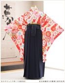 ���ع�´�ȼ� �ӥ�󥿥� ���λ� h0955-3 �ե륻�å� ������ ��ʪ��󥿥� ´�ȸ� �������� ȯɽ�� ���٤�ӥ����� �����ץ� 10�� 11�� 12�� 13�� ��ǯ�� ���� �͵� ��ȥ� ����� ���襤�� ������� ����ॺ̤�ηĲڤ˺��Ծ���2