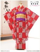 ��ư�ڥ���å���ʪ��󥿥� ���� ���λ� ���޻� zj7012 ����å���夲����� ��󥿥å� �ե����ʡ������� ï�Ǥ��ӤޤǴ�ñ���դ� �����줷�ʤ�  125cm����ե륻�å� 753 �Ҷ���ʪ ���С����� ����ˤ� ȯɽ�� ���٥�� �͵� ��ŵ ���襤�� ���ϻԾ��˵Ⱦ�ɥ�����