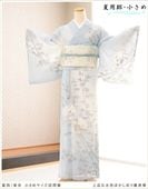 訪問着 夏用 絽 夏 夏物 真夏 着物 レンタル 結婚式 お宮参り 7月 8月