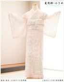 訪問着 レンタル 絽 夏用 真夏 夏物 夏 着物 レンタル 結婚式 お宮参り