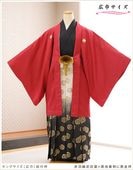 �礭�����ոӥ�󥿥� ���� ���󥰥������̥�������100cm��120cm��mo508k �ե륻�å� ������ ��ʪ��󥿥� ��� �ӥ�󥿥� ������ʪ ´�ȼ� �뺧�� �ֱ�������ɩ�߹�����ʪ�˹����