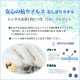 ´༰ ӥ󥿥 6 λ  h5056 ե륻å ´ӥ󥿥 ձ ݰ ´ȼ ϥ餵 ץ Ҷʪ ٥ /105cm/110cm/115cm ֥ Nostalgia ֥饦˽ڡߥ꡼