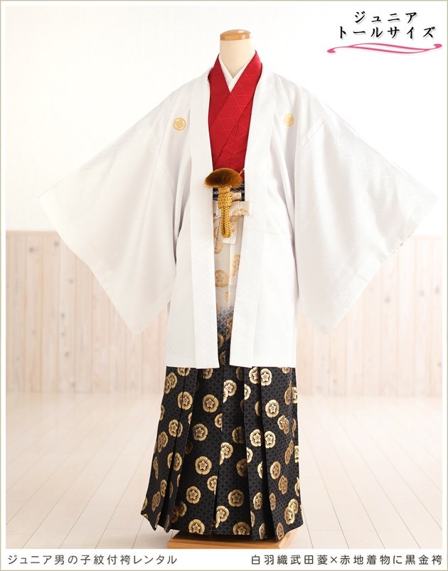 ��Ĺ��� 158cm��167cm�б� ���ع�´�ȼ� ����˥� �ˤλ� ���ոӥ�󥿥� �������� ������ jbmo802-4 ��� 12������ ������ �ե륻�å� ��ʪ��󥿥� �߰��� kimono ���٥�� ���� ������ʪ����ɩ�߹��⵵�ø�