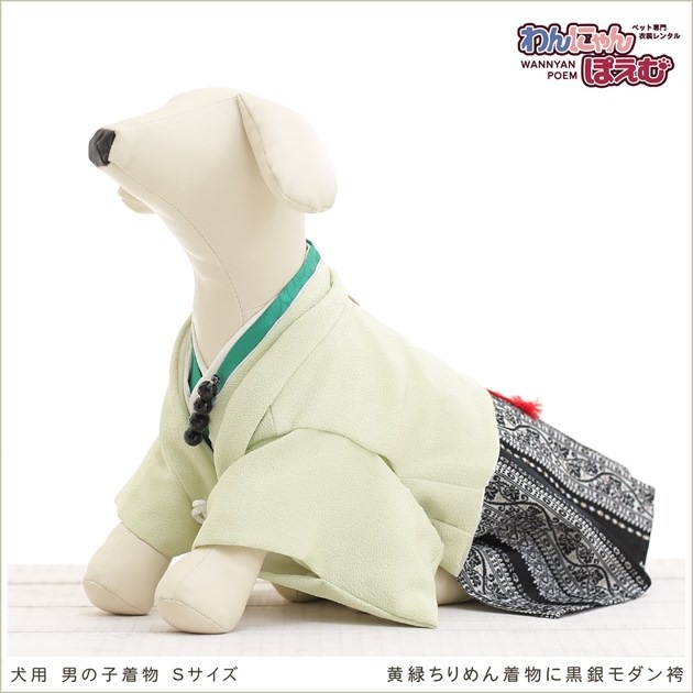 ペット着物レンタル｜犬の着物 男の子 Sサイズ 小型犬｜マルチーズ