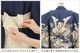 �����դ��ϥե����ʡ���夲������״�ư�ڥ���å���ʪ 5�� ���޻� �ˤλ� �����ӥ�󥿥� 110cm���� zd4120 ��󥿥å� ��ñ���դ���ʪ �̵������ɤ��������⤤������Ŭ �����줷�ʤ� �Ҷ���������ʤ� 753 �߰��� ����ˤ� ��� �͵��ֲ֤������ץ֥��� ���Ϥ˵Ⱦ�ͦ��ζ��