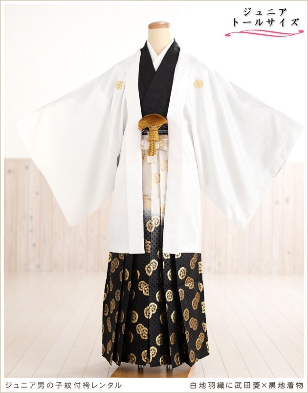 ��Ĺ��� 158cm��167cm�б� ���ع�´�ȼ� ����˥� �ˤλ� ���ոӥ�󥿥� �������� ������ jbmo806-4 ��� 12������ ������ �ե륻�å� ��ʪ��󥿥� �߰��� kimono ���٥�� ���� ���ϱ���������ɩ�߹�����ʪ