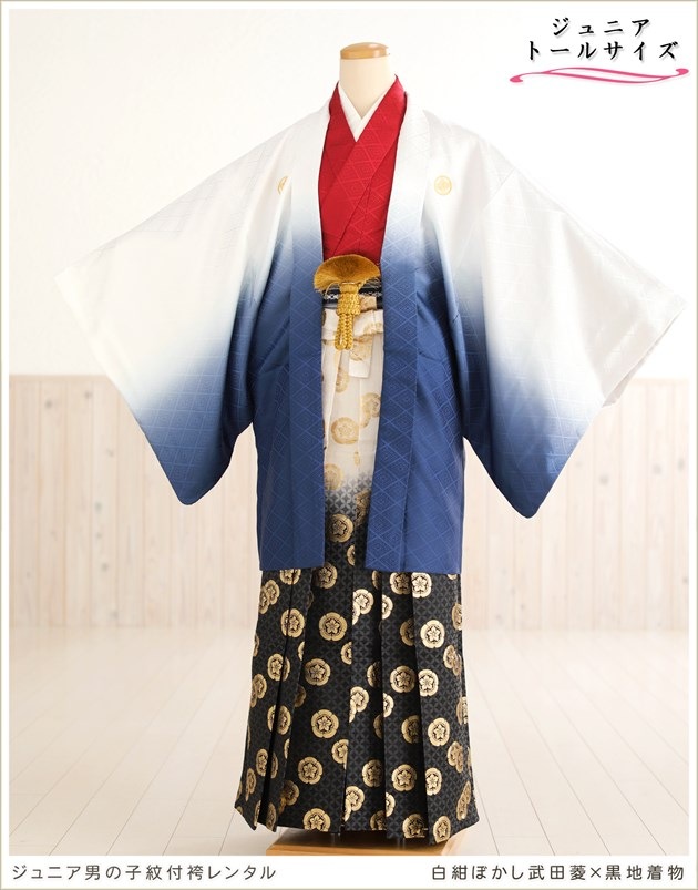 ��Ĺ��� 158cm��167cm�б� ���ع�´�ȼ� ����˥� �ˤλ� ���ոӥ�󥿥� �������� ������ jbmo810-4 ��� 12������ ������ �ե륻�å� ��ʪ��󥿥� �߰��� kimono ���٥�� ���� �򺰤ܤ�������ɩ��������ʪ