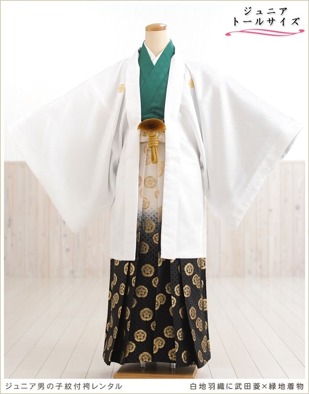 ��Ĺ��� 158cm��167cm�б� ���ع�´�ȼ� ����˥� �ˤλ� ���ոӥ�󥿥� �������� ������ jbmo814-4 ��� 12������ ������ �ե륻�å� ��ʪ��󥿥� �߰��� kimono ���٥�� ���� ���ϱ���������ɩ��������ʪ