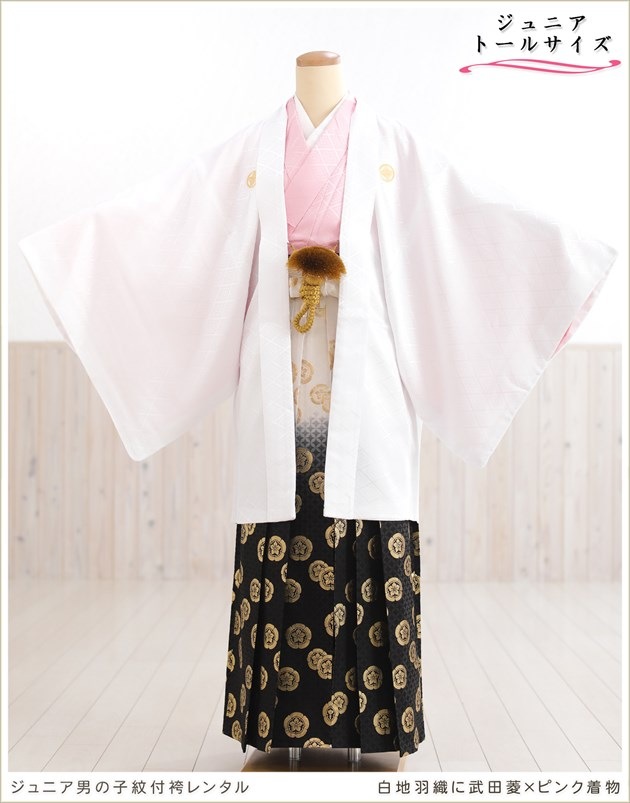 ��Ĺ��� 158cm��167cm�б� ���ع�´�ȼ� ����˥� �ˤλ� ���ոӥ�󥿥� �������� ������ jbmo816-4 ��� 12������ ������ �ե륻�å� ��ʪ��󥿥� �߰��� kimono ���٥�� ���� ���ϱ���������ɩ�ߥԥ���ʪ