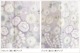  ͳ ˬ󥿥 hw1656 ´ȼ  ʪ󥿥 ؼ 150cm 뺧 ޻  ե륻å ܻ 753 ޥ  kimono  ͵ yumikatsura Ǽ ̵ ץߥ̹ʤԤ֡