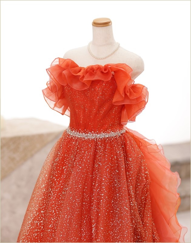 �ե��ȥ����ǥ��� �ɥ쥹��󥿥� ���� cd1004 ���ɥ쥹 ���顼�ɥ쥹 �����ƥ�ɥ쥹 ��Ϻ���������ɥ��å� �̿����� ��²�� �͵� �̿������η뺧�� ����������󻣱� �뺧�̿� 2024 ���֥��ɡ֥������꥿�ץ���󥸥��