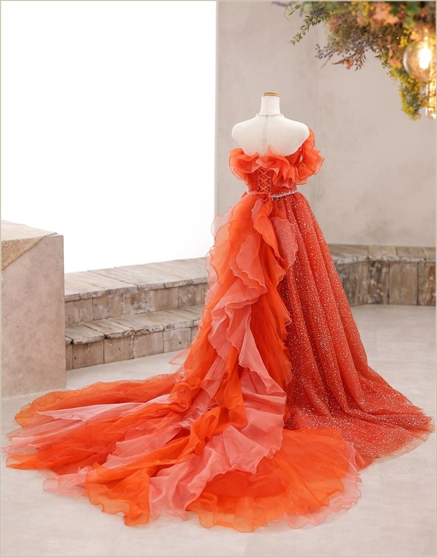 �ե��ȥ����ǥ��� �ɥ쥹��󥿥� ���� cd1004 ���ɥ쥹 ���顼�ɥ쥹 �����ƥ�ɥ쥹 ��Ϻ���������ɥ��å� �̿����� ��²�� �͵� �̿������η뺧�� ����������󻣱� �뺧�̿� 2024 ���֥��ɡ֥������꥿�ץ���󥸥��