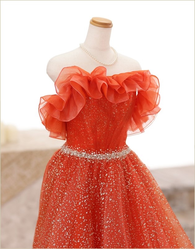 �ե��ȥ����ǥ��� �ɥ쥹��󥿥� ���� cd1004 ���ɥ쥹 ���顼�ɥ쥹 �����ƥ�ɥ쥹 ��Ϻ���������ɥ��å� �̿����� ��²�� �͵� �̿������η뺧�� ����������󻣱� �뺧�̿� 2024 ���֥��ɡ֥������꥿�ץ���󥸥��