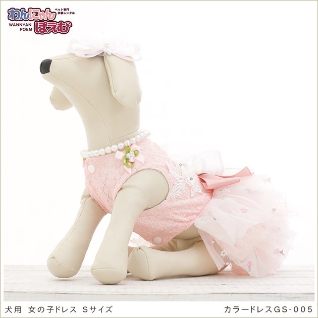 犬のドレスレンタル｜Sサイズ小型犬におすすめ高級ペットドレス（結婚