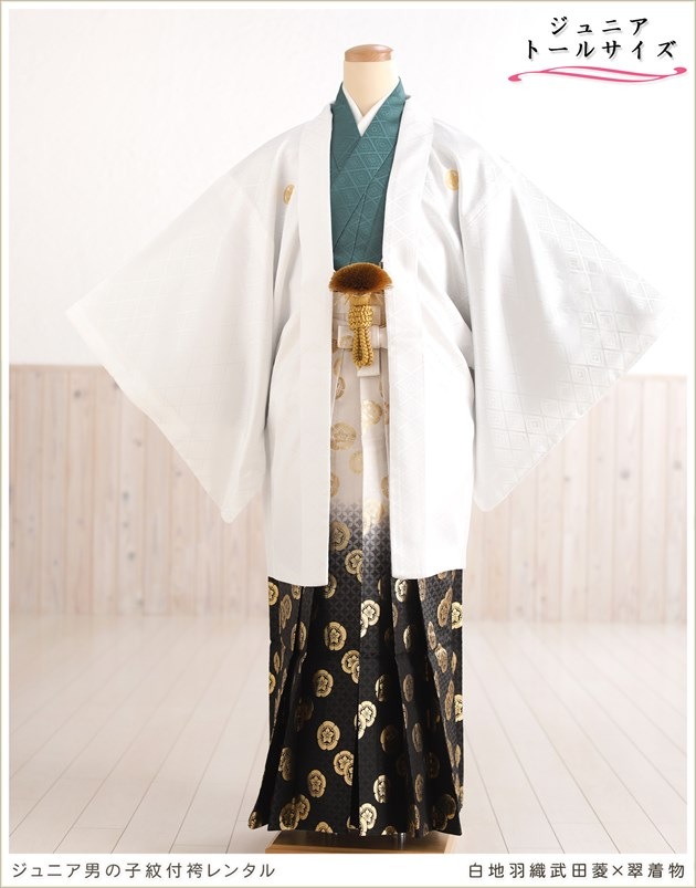 ��Ĺ��� 158cm��167cm�б� ���ع�´�ȼ� ����˥� �ˤλ� ���ոӥ�󥿥� �������� ������ jbmo822-4 ��� 12������ ������ �ե륻�å� ��ʪ��󥿥� �߰��� kimono ���٥�� ���� ���ϱ���������ɩ��������ʪ