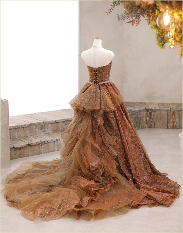 �ե��ȥ����ǥ��� �ɥ쥹��󥿥� ���� cd1007 ���ɥ쥹 ���顼�ɥ쥹 �����ƥ�ɥ쥹 ��Ϻ���������ɥ��å� �̿����� ��²�� �͵� �̿������η뺧�� ����������󻣱� �뺧�̿� 2024 ���֥��ɡ֥������꥿�ץ֥饦����