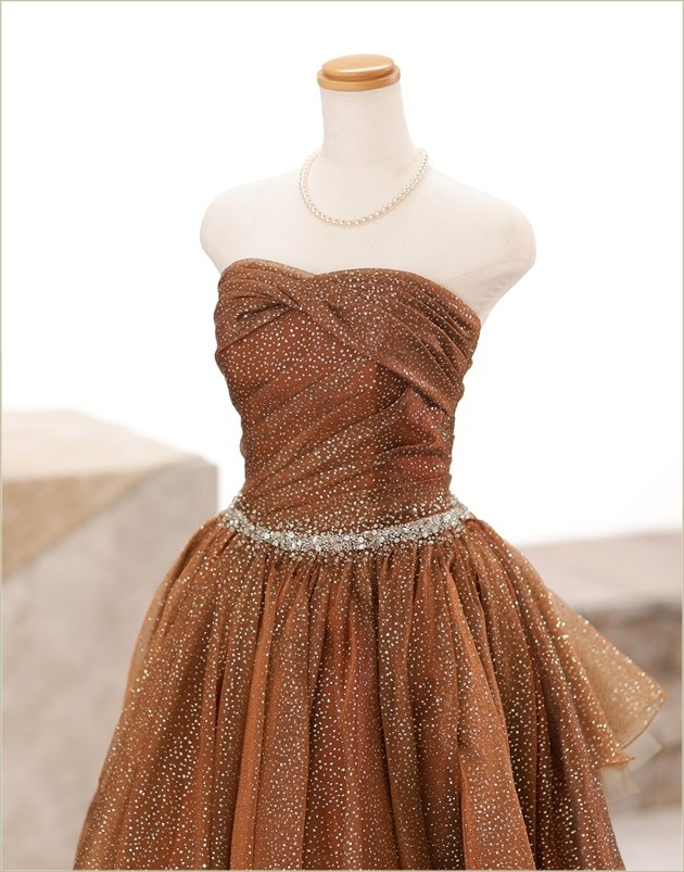 �ե��ȥ����ǥ��� �ɥ쥹��󥿥� ���� cd1007 ���ɥ쥹 ���顼�ɥ쥹 �����ƥ�ɥ쥹 ��Ϻ���������ɥ��å� �̿����� ��²�� �͵� �̿������η뺧�� ����������󻣱� �뺧�̿� 2024 ���֥��ɡ֥������꥿�ץ֥饦����