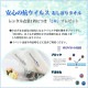 ���ͼ� ���������� �礭�������� ��ʪ��󥿥� �� kmo701ks �������ǿ͵� ��ή����󥿥� ��󥿥å����դ� ���󤿤����դ� �ե륻�å� ������ʪ ��� �͵� �� ��ȥ� ����� �󽽺ФΤĤɤ� ���� ���٥�� ���� kimono 2027 ǻ�������륰�졼�˥�������å�������