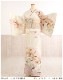 ñ�� ������������ ˬ�����󥿥� sh1126 �ڲ��� ��ʪ��󥿥�� 150cm�����б� S������ �ե륻�å� �뺧�� ���ܻ��� ���٥�� ���� ���� ���� ���� �ä��� �ޥ� ��� 2023�֥���ѥ󥹥������ ���꡼��˷Ĥ����