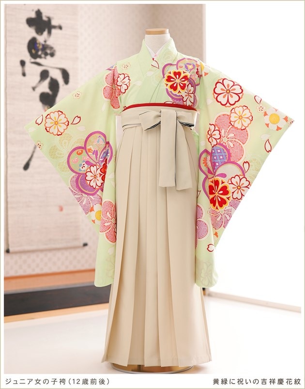 ���ع�´�ȼ� ������ ���λ� �ӥ�󥿥� h1244 ����˥���ʪ �ե륻�å� ��󥿥�� ��ʪ��󥿥� ´�ȼ� ´�ȸ� ���� �����ץ� 10�� 11�� 12�� ���٥�� �ղ��� ���Ф˽ˤ��εȾͷĲ���