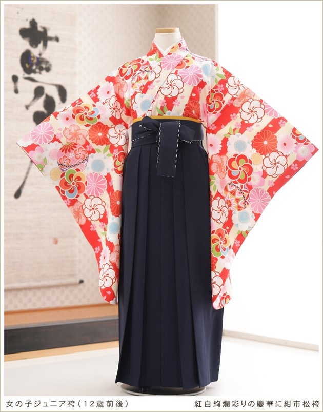 ���ع�´�ȼ� �ӥ�󥿥� ���λ� h0955-3 �ե륻�å� ������ ��ʪ��󥿥� ´�ȸ� �������� ȯɽ�� ���٤�ӥ����� �����ץ� 10�� 11�� 12�� 13�� ��ǯ�� ���� �͵� ��ȥ� ����� ���襤�� ������� ����ॺ̤�ηĲڤ˺��Ծ���2