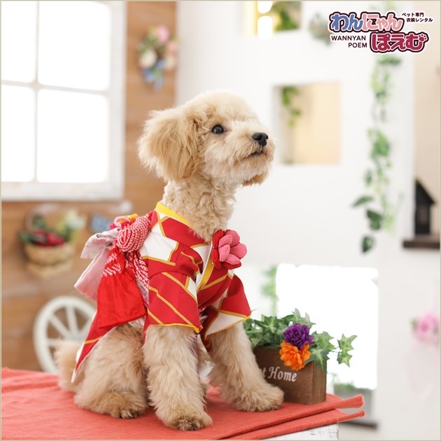 2_000000005249.jpg?1678209906