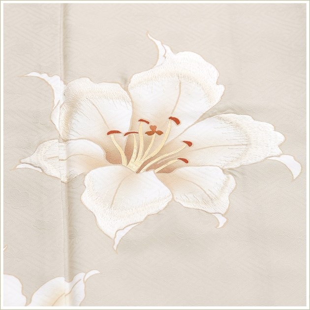 ˬ󥿥 hw1654 ´ȼ  ʪ󥿥 ؼ 뺧 ޻ ˬ ե륻å ܻ ´༰ 753 ޥ  kimono  ͵ Ǽ ̵ ֲֵץ֥ ʤʥ١ĤӵȾɴ