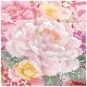 ������������ ��µ ��󥿥� ���ͼ� �뺧�� fb1403 ��Ǽ ������ S������ 150cm���� ����µ��󥿥� ������ �ե륻�å� ´�ȼ� ��ʪ��󥿥� ��ŵ ��ȥ� ������� ���襤�� ���� ��� �͵� ��������̵�� ���Ϥܤ����˰�ॷ����