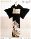 ��ͳ�� αµ��󥿥� ������������ ts230s ��αµ��󥿥롡�ե륻�å� α��µ ��ʪ��󥿥� �뺧�� ���� �߰��� ��� �� ����ڥ� ��� �͵� Yumi Katsura 150cm���� ��������̵���ֲ֤�ˬ����꿧��