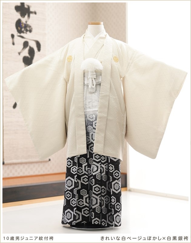 10 ˤλ ˥ ոӥ󥿥 140cm150cm ع´ȼ d1106 Ҷ ʪ󥿥  1/2ͼ뺧 ٥ ȯɽ  ̵ 줤١ܤ