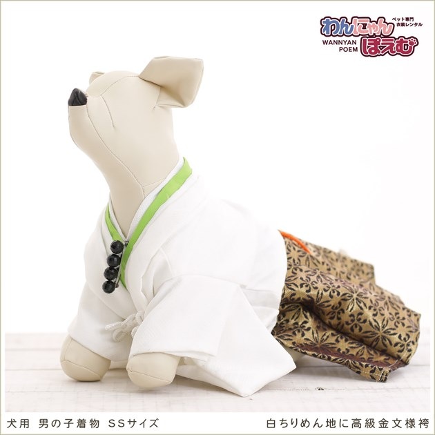 ペット着物レンタル｜犬の着物 男の子 SSサイズ 小型犬｜チワワ