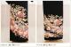 αµ ��󥿥롡ts080��αµ��󥿥롡�뺧������ʪ��󥿥롡��αµ��αµ��󥿥롡��αµ����αµ��󥿥롡��ơ�α��µ��󥿥롡����ڥ롡����������²���С����졡�߰������͵�����������������������­�ޡ���������̵�����ĤӤβ����ͤ˲ڿ�������