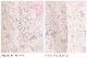 ���Ĺ �ȡ��륵���� ��ͳ�� ˬ�����󥿥� �ץ�ߥ����ǥ� hw1567t ´�ȼ� �� ��ʪ��󥿥� ���ؼ� �뺧�� ���޻� �ե륻�å� ���ܻ��� ´�༰ ���� �ޥ� ��� kimono houmongi �͵� ��Ǽ ����� ��ø��˷Ĺʤ��ԥ��֡�