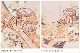 ñ�� �礭�������� ��αµ��󥿥� sih1020 ���� �ޤ��� �뺧�� ���� 13���19�� ��αµ�ե륻�å� �ڤ䤫 ���� ��ʪ��󥿥� ñ ���֥��� ��ŵ ��² �͵� ��α��µ ��� tomesode �֤����� ���ԥ󥯵Ⱦ�«�����ͷĲ�