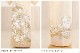 ���Ĺ �ȡ��륵���� ��αµ��󥿥� 170cm���� it204t �ޤ��� �뺧�� ���� ��ʪ��󥿥� ��α��µ ɽ���� ��² �� ��ŵ �͵� ��� ���� ��������̵�� ��ͳ���֥��� �֥Х����