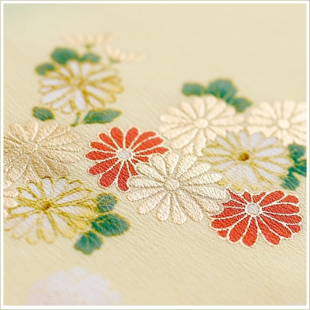 ��ñ�ᡡ��αµ�ۡڿ�αµ��󥿥�ۡڲ��ѡۥѥ��ƥ륯�꡼��˰�ॺ̤�ηĲ� sit064�ڿ�αµ���ե륻�åȡ۲ڤ䤫/�㤤��αµ/��ʪ��󥿥�/�뺧��/�ޤ���/ñ/�߰���/��ŵ/��²/�͵�/α��µ/��α��µ/����/2019/