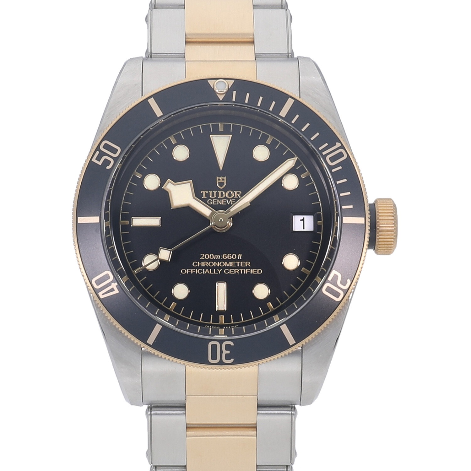 チューダー ブラックベイ S&G M79733N-0008