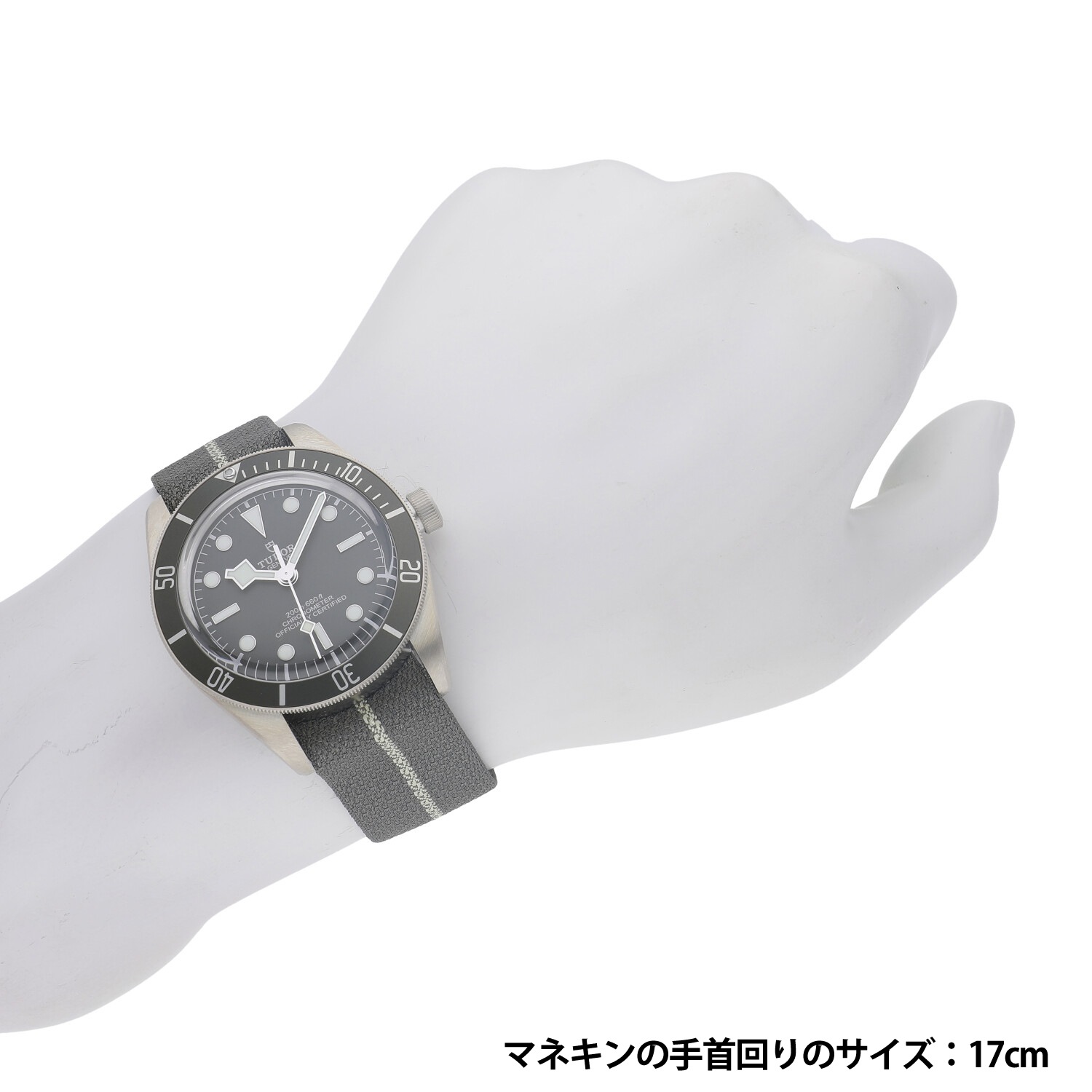 【52%OFF！！】【希少品】新品未開封 アンプリチュード ブラシ 8本セット チューダー ブラックベイ クロノ “ピンク” 79360N-0019がなぜ