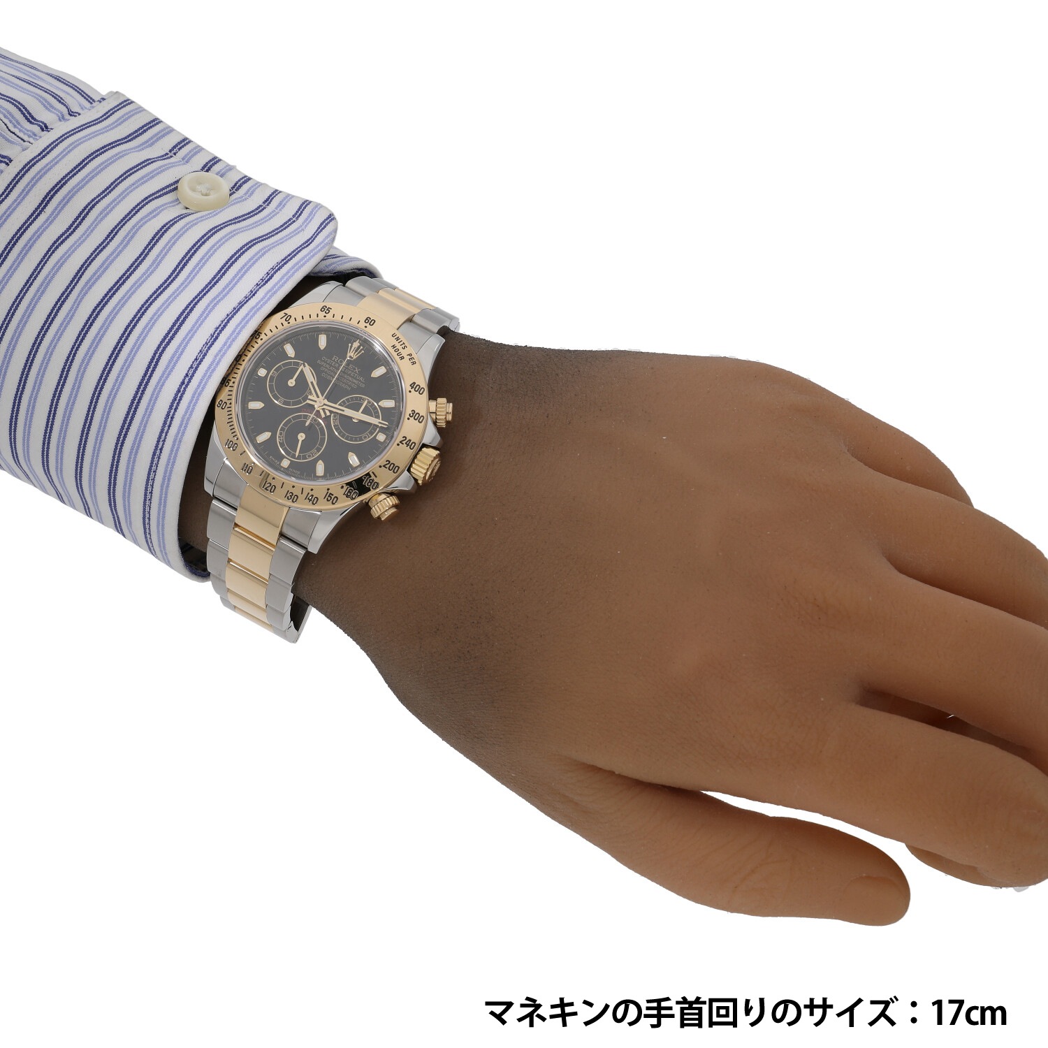 オムコイブルー初齢5頭！！