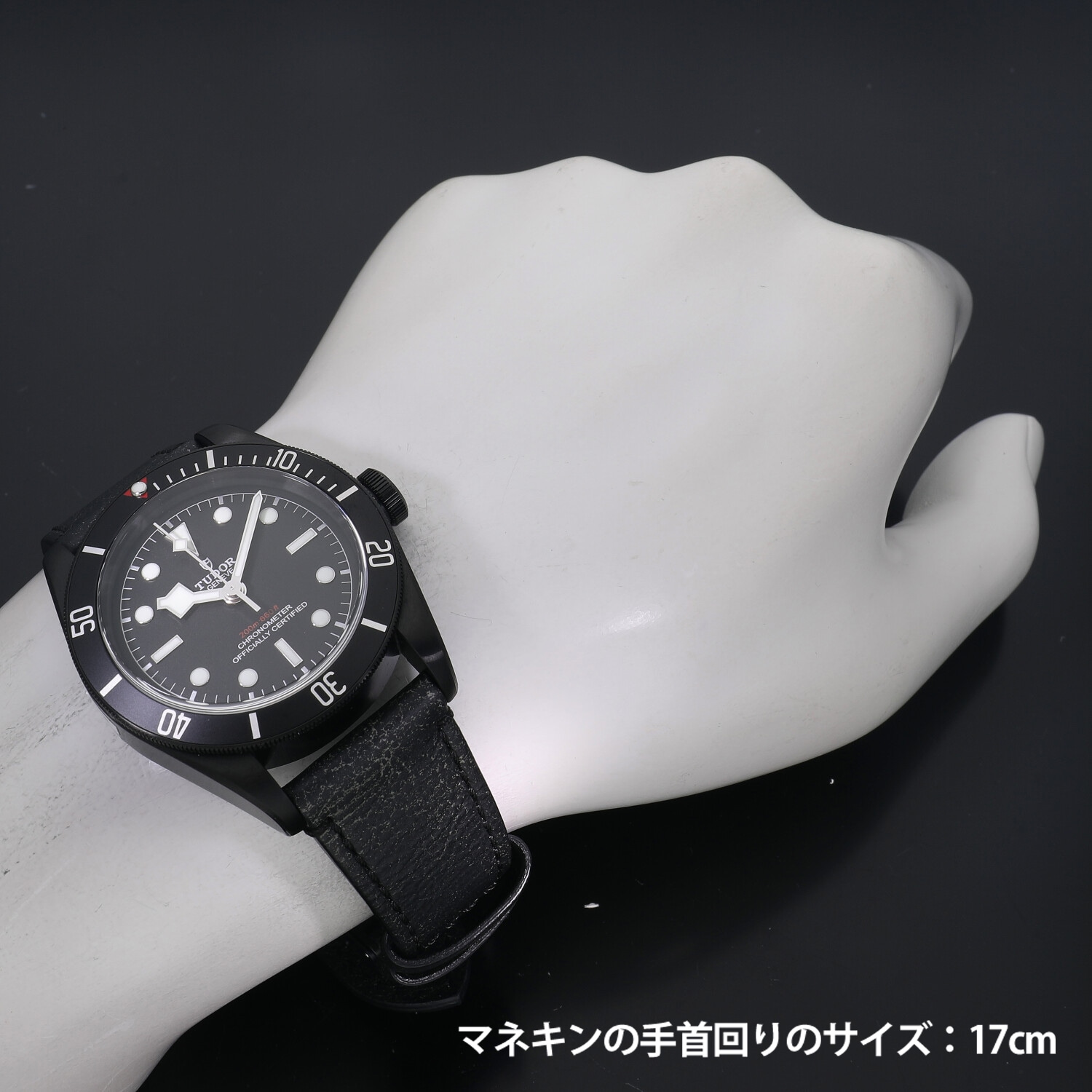 T3887 | [新品]チューダー ブラックベイ ダーク M79230DK-0004 メンズ