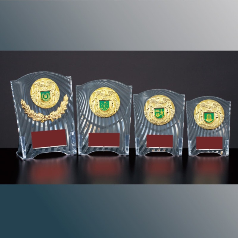 表彰楯 競技用 CC-5546