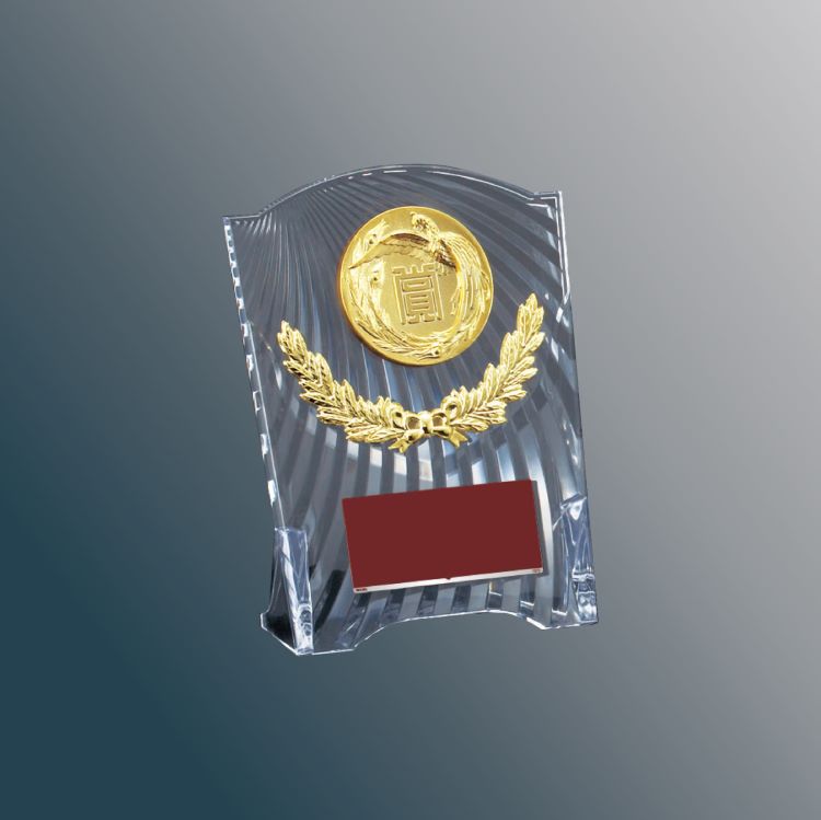 表彰楯 スポーツ CC-5553