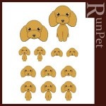 �����ꤽ���Ǥʤ��ä������̥����� �ȥ��ס��ɥ� Sliverfrog