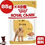 ������륫�ʥ� BHN-WET �ס��ɥ� ������������ 85g��48��